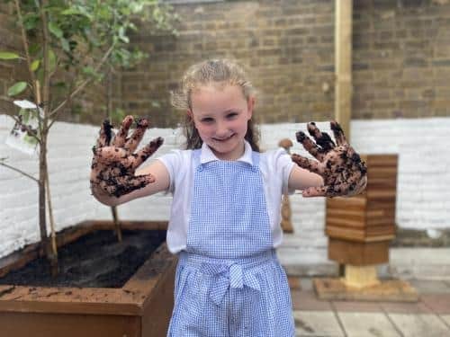 Free fruit trees and strawberry plants offered to Solihull schools and community groups — Solihull news photo